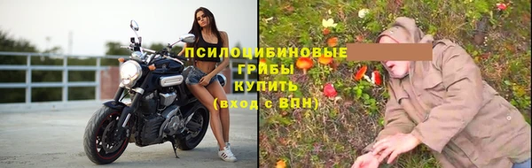 прущие грибы Богородск