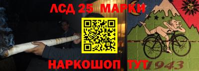 крисы Краснознаменск