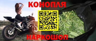 гидра Краснодар