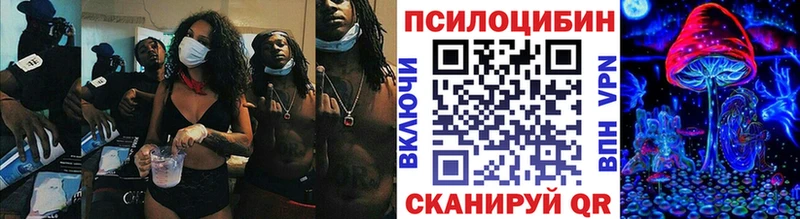OMG ссылка  Волжск  darknet клад  Псилоцибиновые грибы GOLDEN TEACHER 